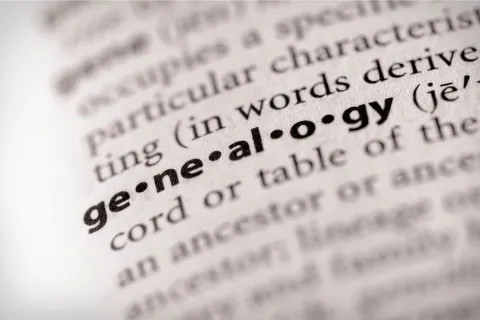 The word "genealogy" in a dictionary