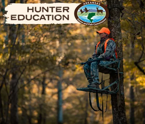 A hunter in camouflage and a hunter orange hat sits in a tree stand